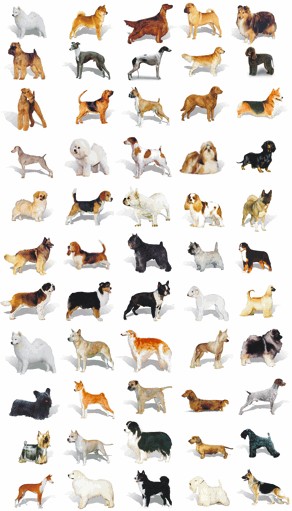 all-dogs-fondo.jpg